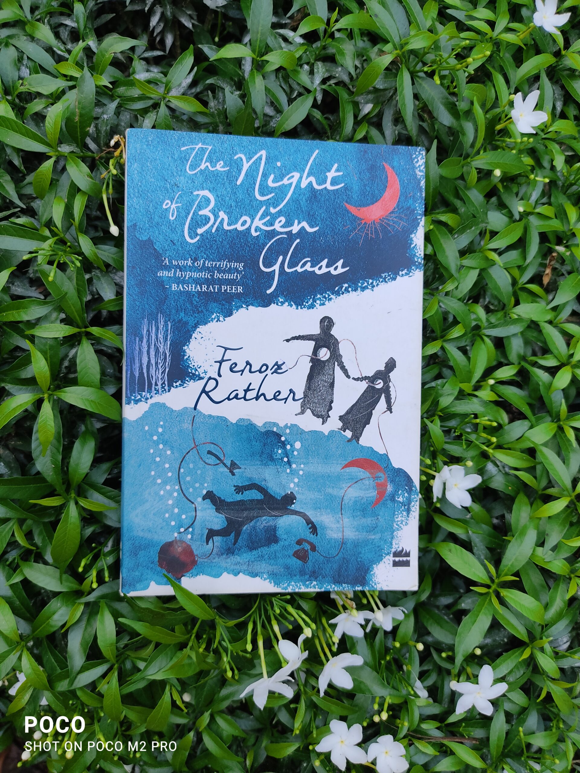 The Night of broken Glass, Feroz Rather, Book Review