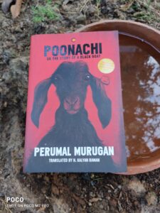 Poonachi, Perumal Murugan, Book review