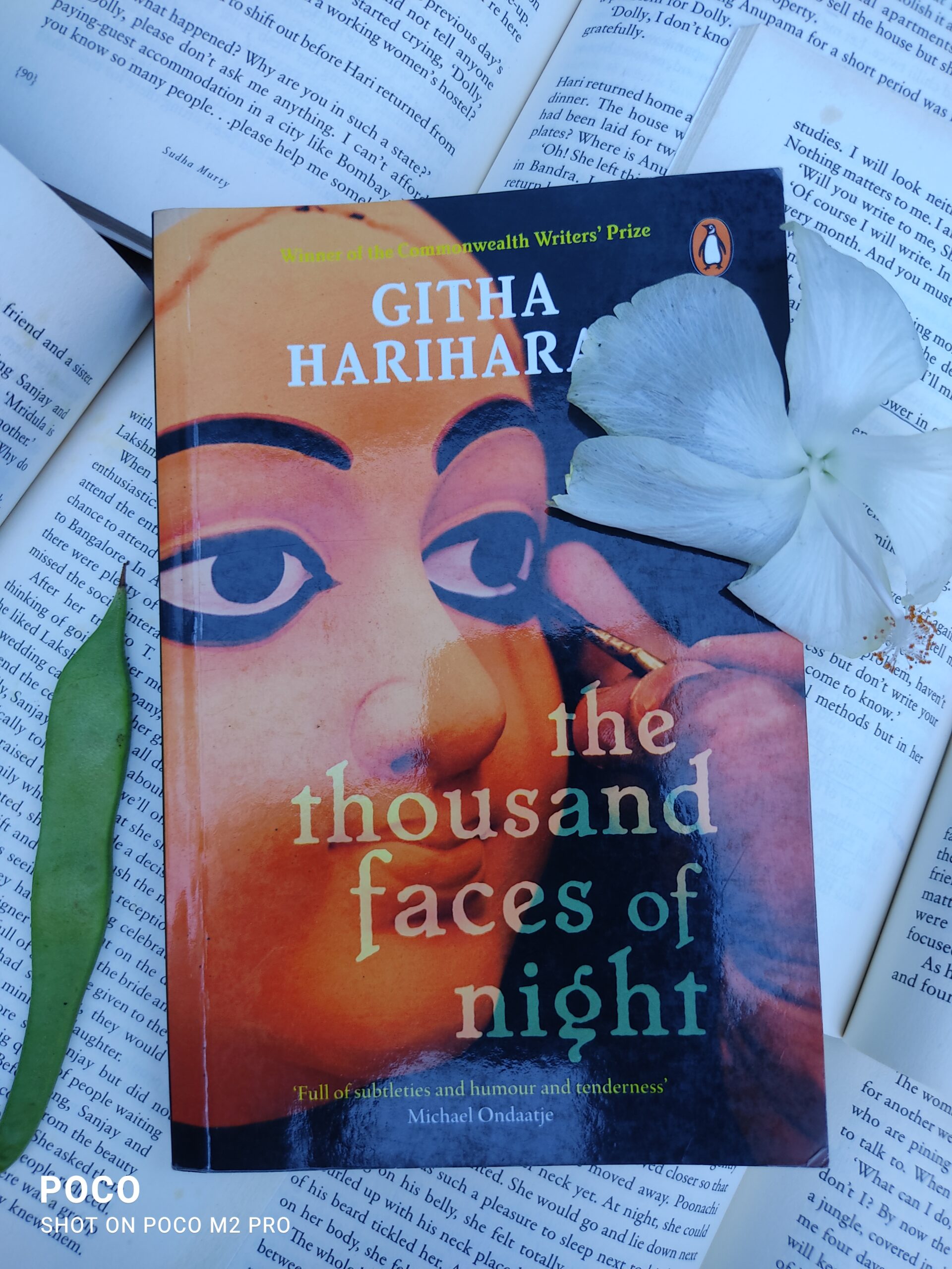 Read more about the article The Thousand Faces of Night, Githa Hariharan