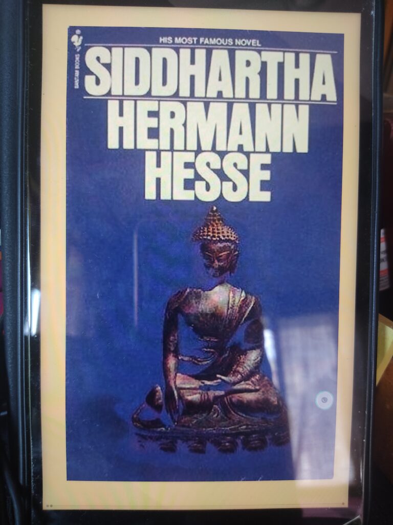 siddhartha book review reddit