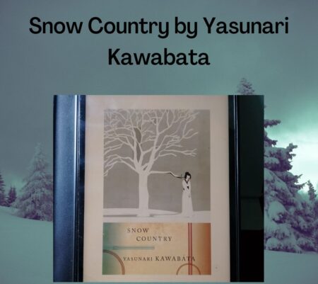 Snow Country by Yasunari Kawabata Book Review