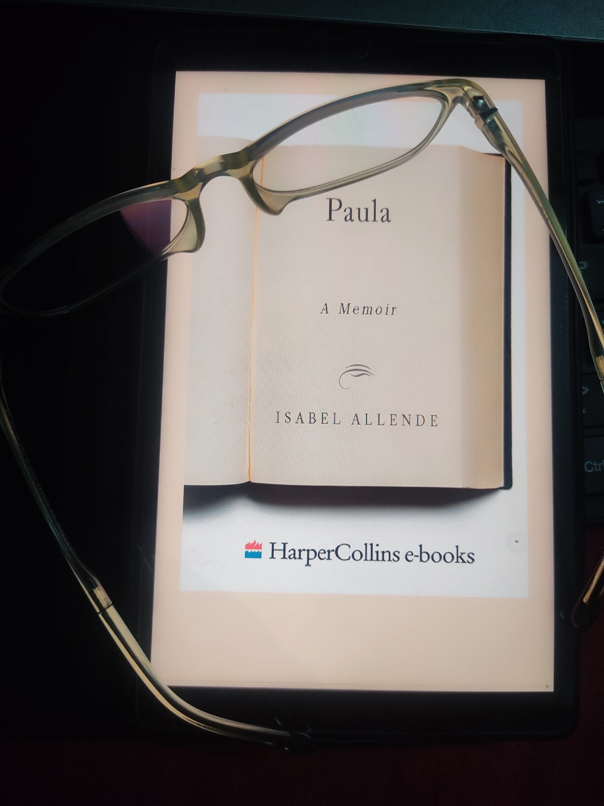 Read more about the article Paula , a memoir (1994) by Isabel Allende