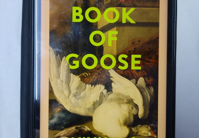 “The Book of Goose” by Yiyun Li, Book Review